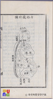 동의보감 / 신형장부도