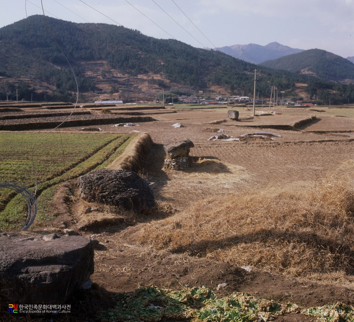 남해 다정리 지석묘