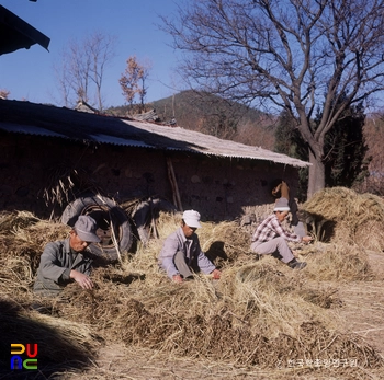 이엉엮는 모습