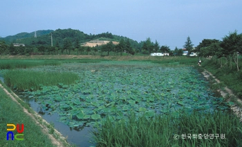 상주 공검지