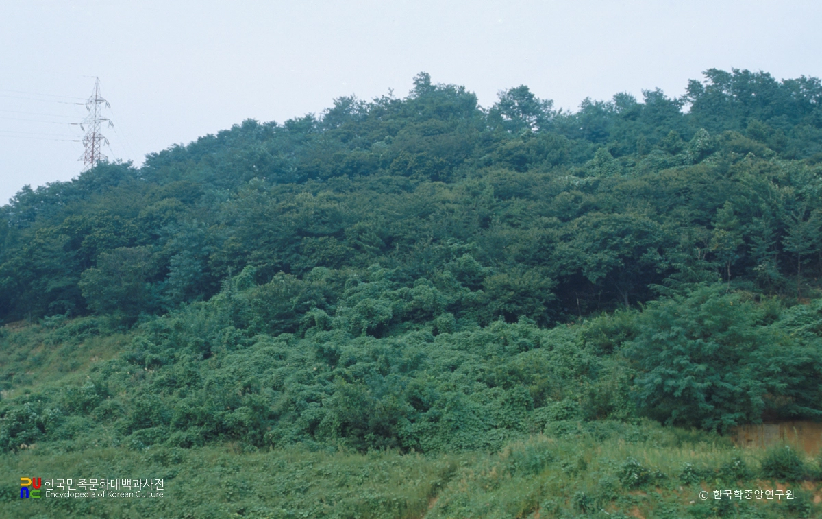 이산성지