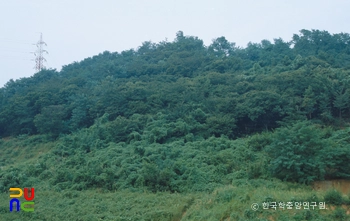 이산성지