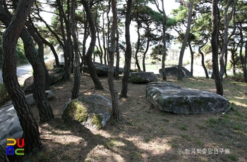 함평 용월리 지석묘군