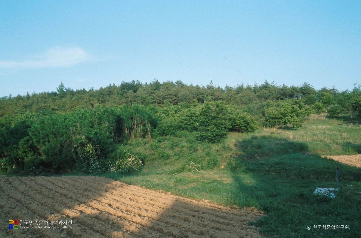 합천 옥전 고분군