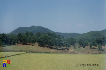 경남 고성 내산리 고분군 전경