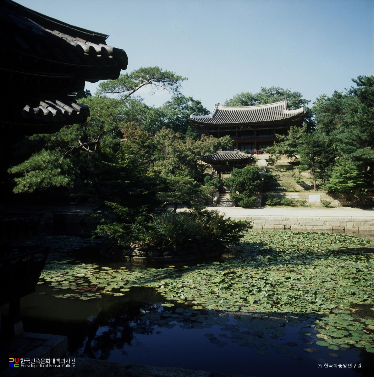 창덕궁 주합루