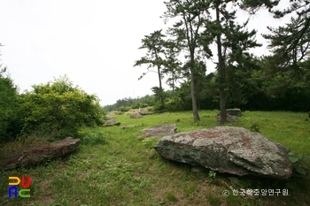 고흥 중산리 지석묘군 전경