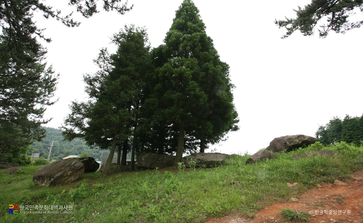 고흥 과역리 민등 지석묘군 측면