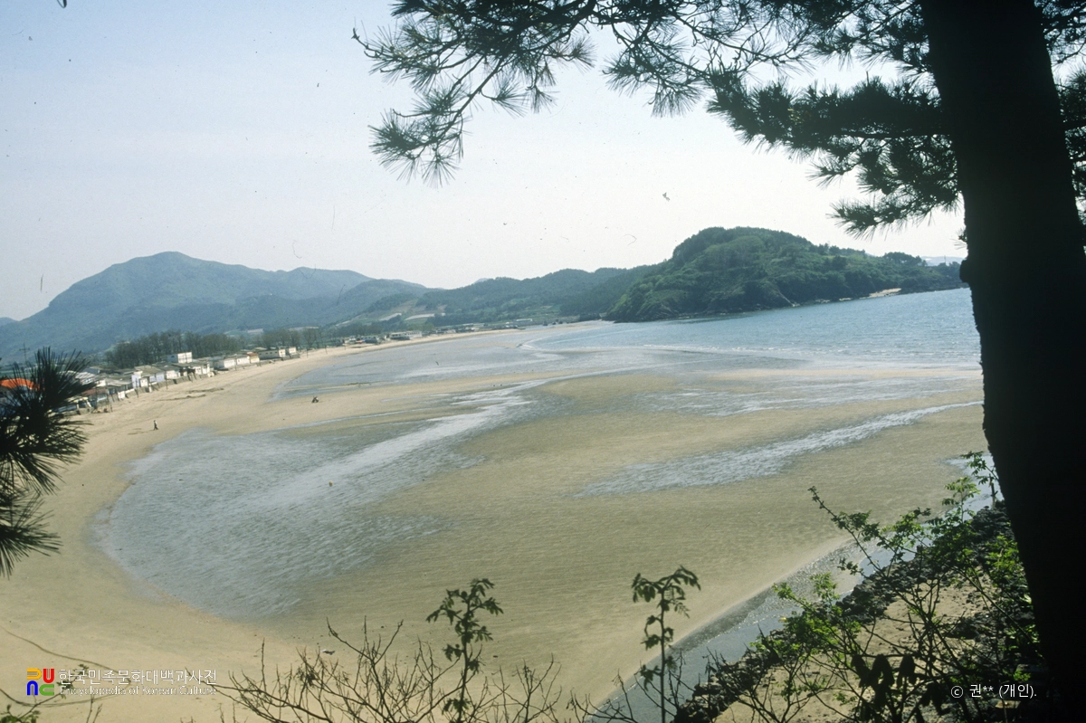 변산해수욕장의 사빈