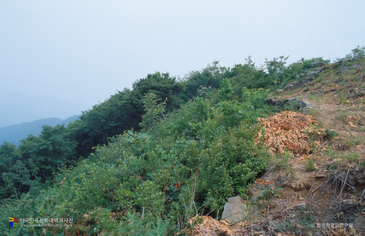 태령산성