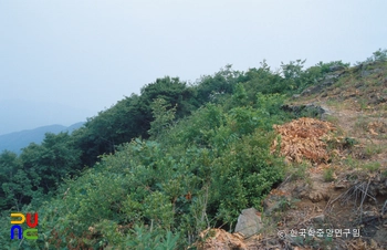 태령산성