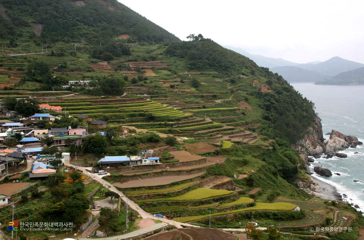 남해 가천마을 다랑이논