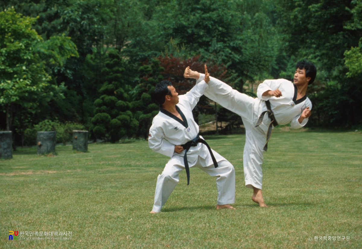 태권도 / 겨루기