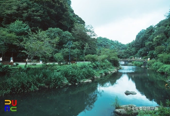 제주 천지연 난대림