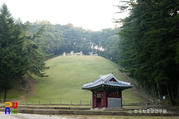 남양주 조선 정희왕후 광릉 능 전경