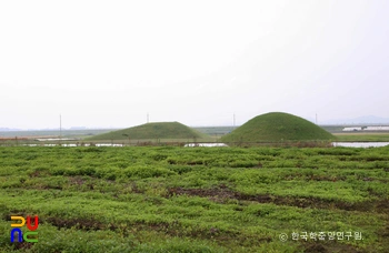 나주 복암리 고분군 전경