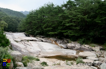 곡성 도림사 계곡