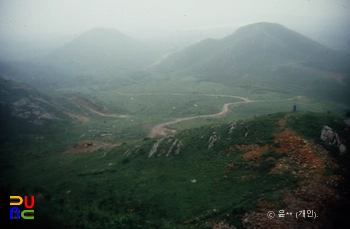 슬롯사이트 볼트 메이저