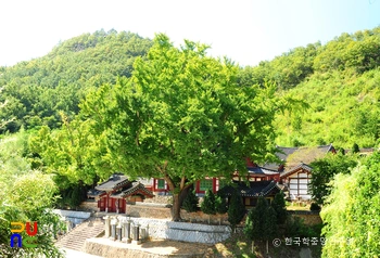 장흥향교 전경