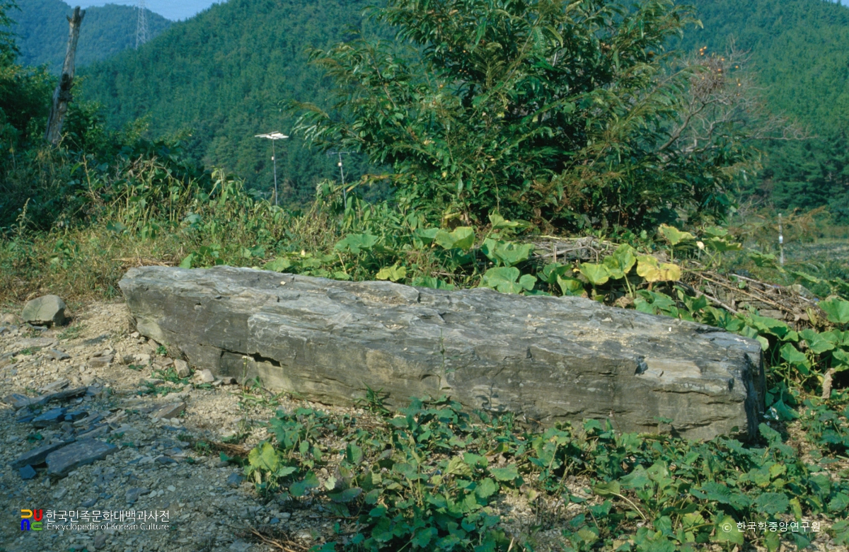 고성 오방리 지석묘 전경