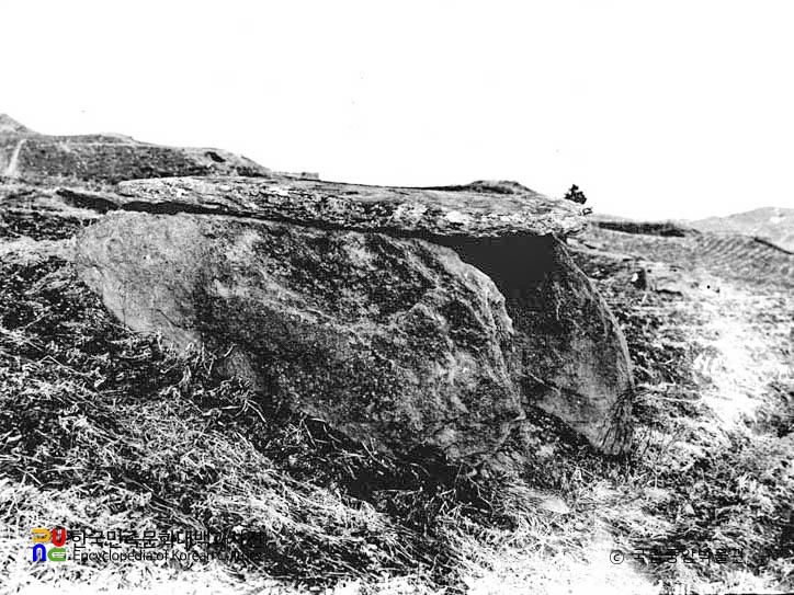 부령 부거동 석관묘