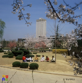 영남대학교