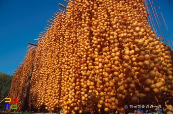 곶감