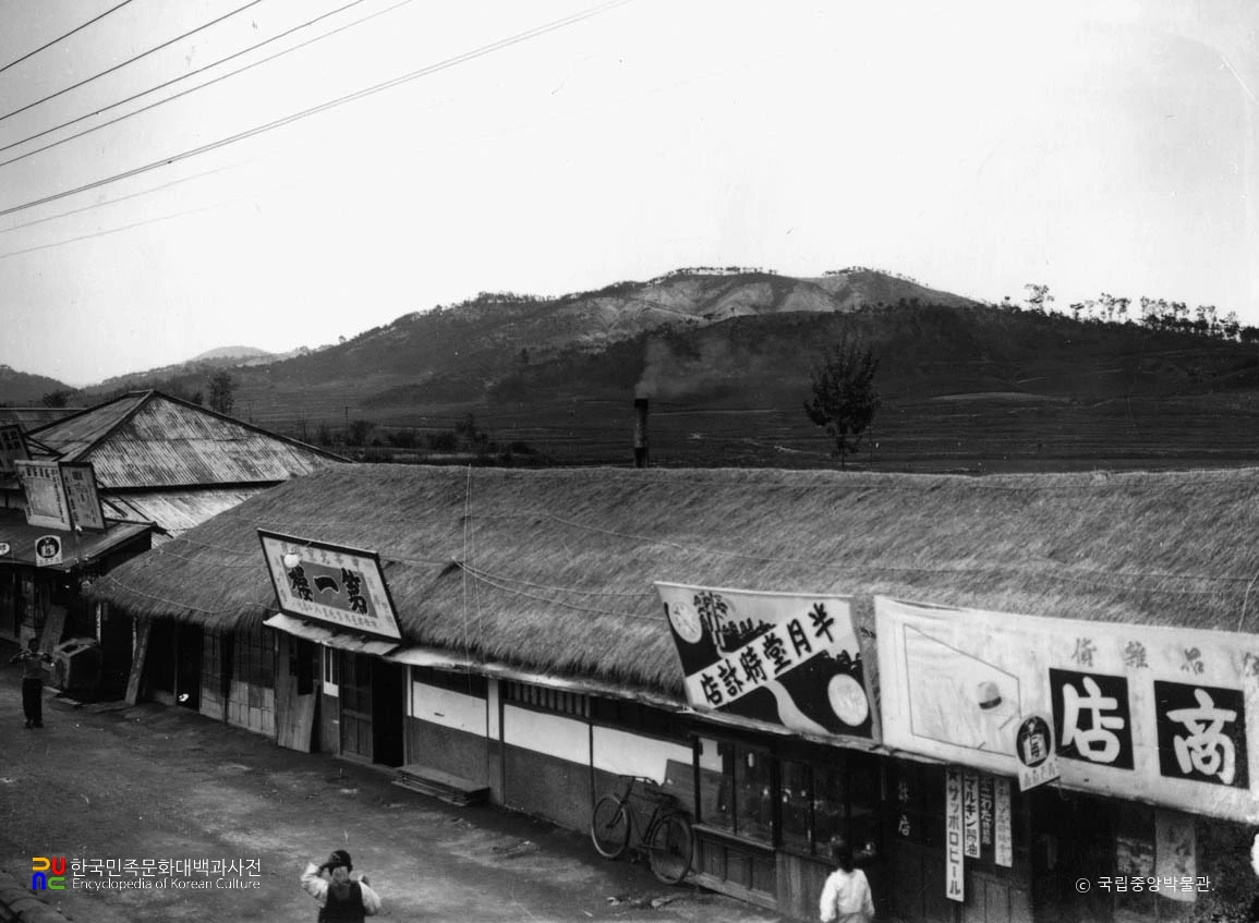 부여읍에서 본 부소산 전경