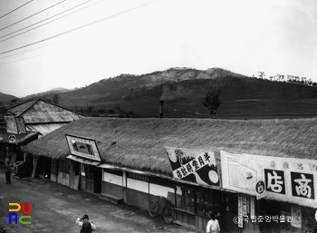 부여읍에서 본 부소산 전경
