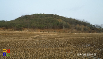 익산 금마도 토성 전경