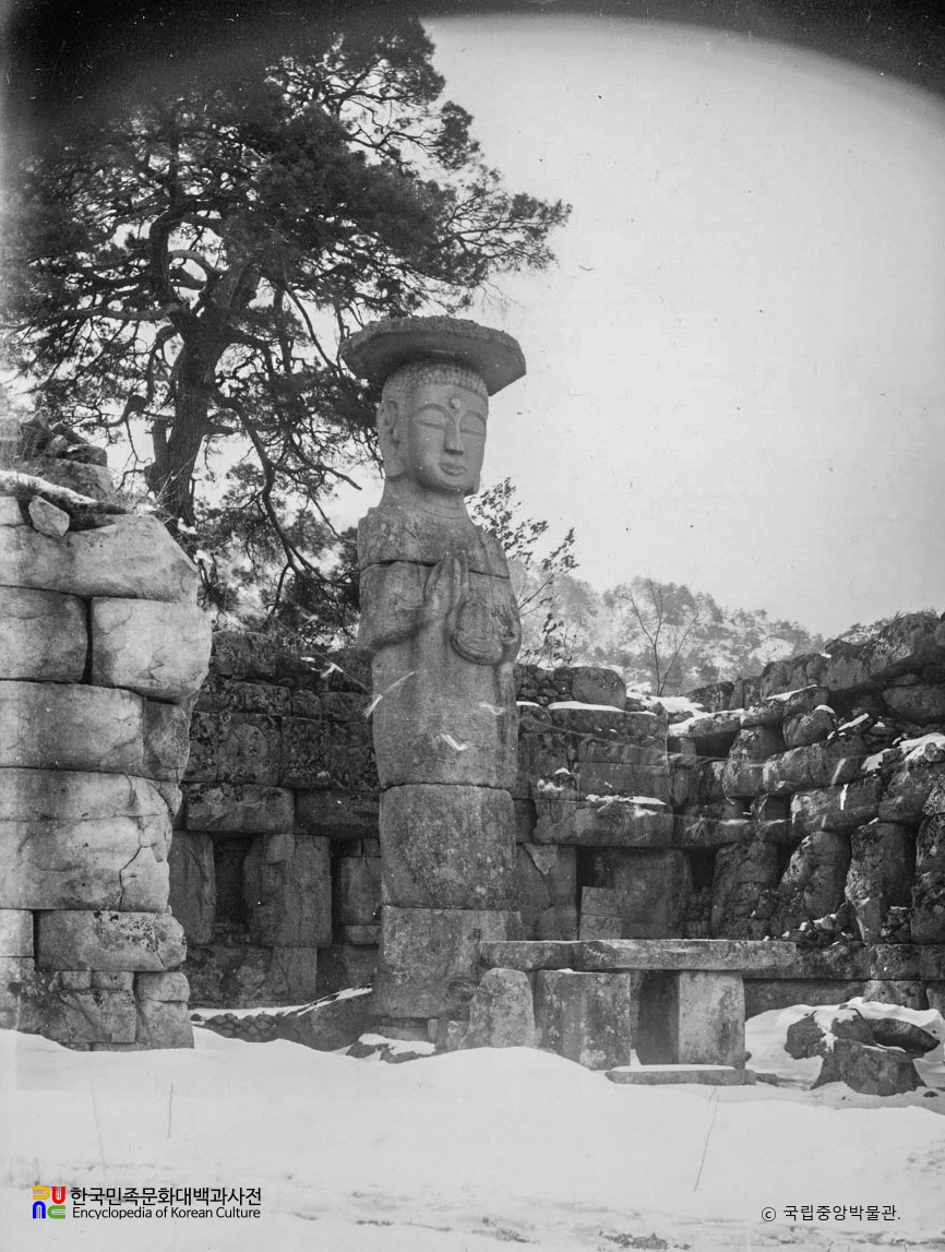 충주 미륵리 석불입상