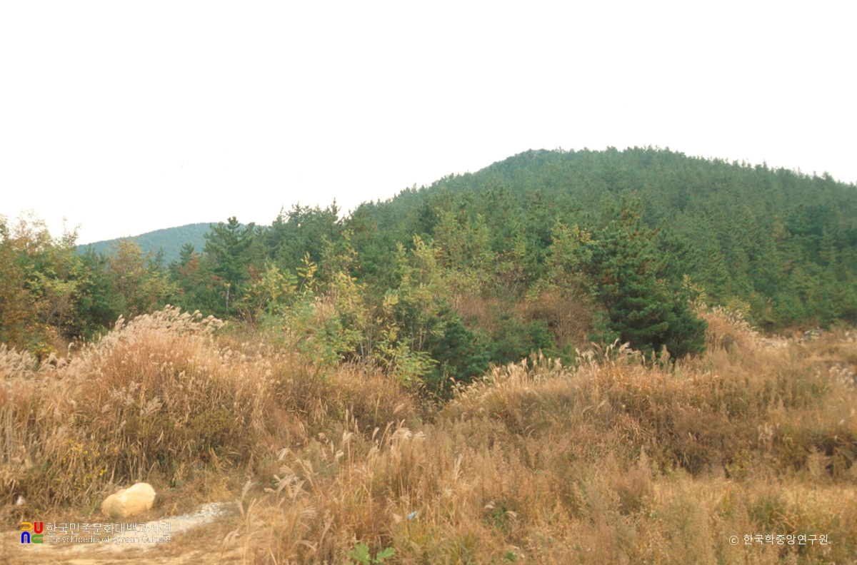 창녕 교동과 송현동 고분군