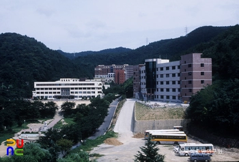 성심외국어대학