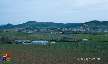 신안 장산면