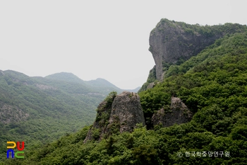 선운산