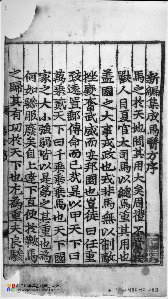 신편집성마의방우의방