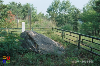 파주 다율리.당하리 지석묘군