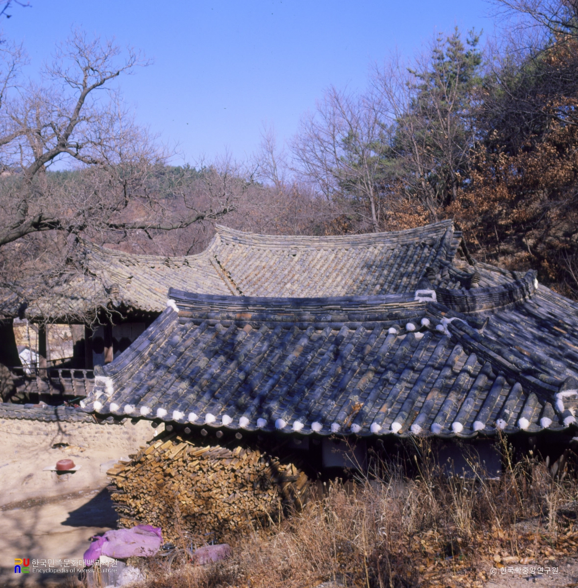 경주 양동마을 심수정