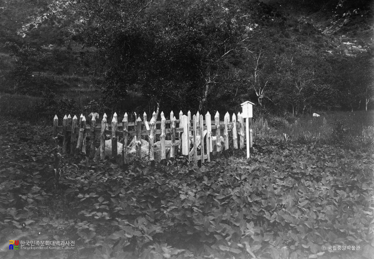 논산 개태사지 오층석탑