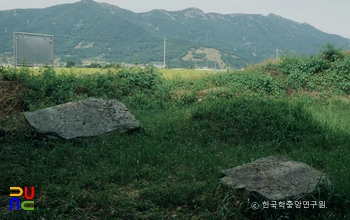 고성 석지리 지석묘 전경