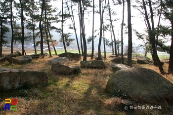 장흥 방촌리 지석묘군