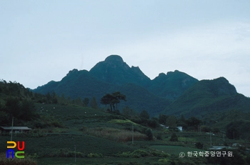 마닐라 슬롯
