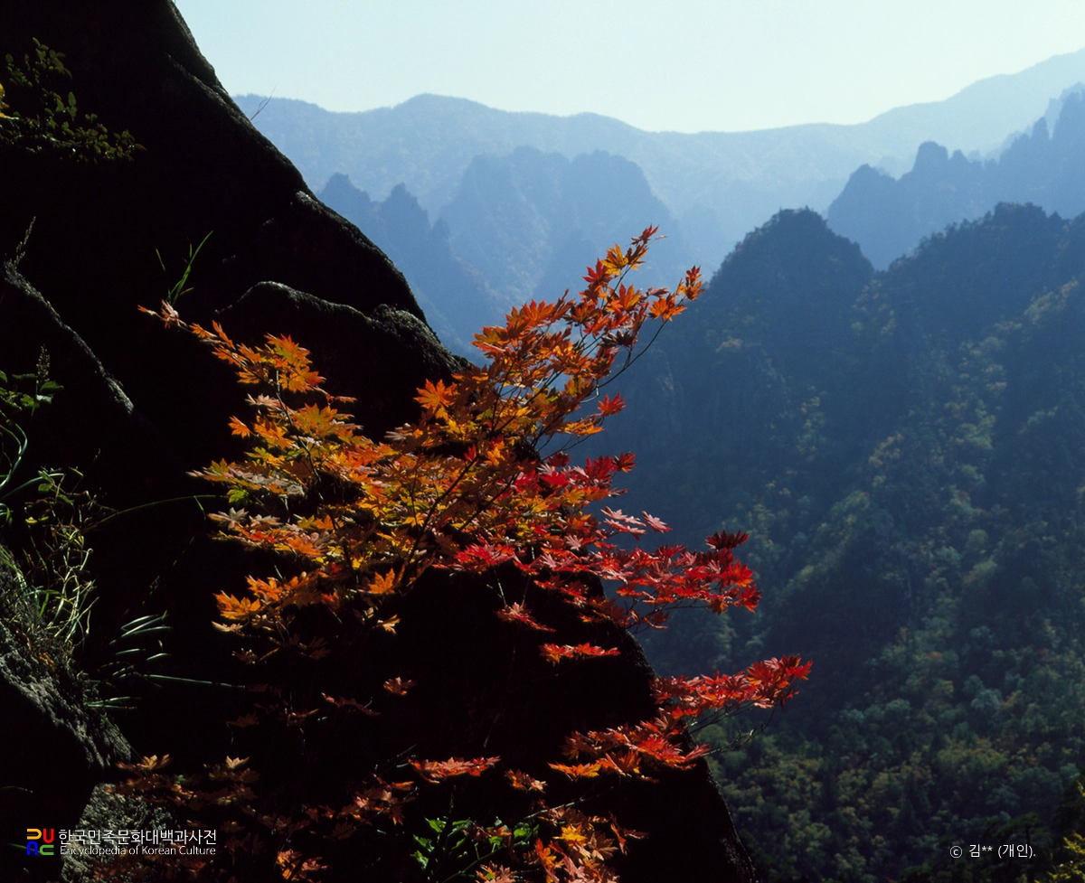 단풍 / 설악산