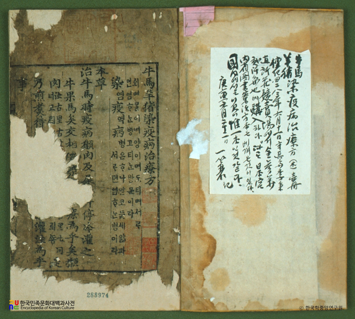 우마양저염역병치료방