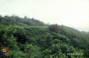망이산성