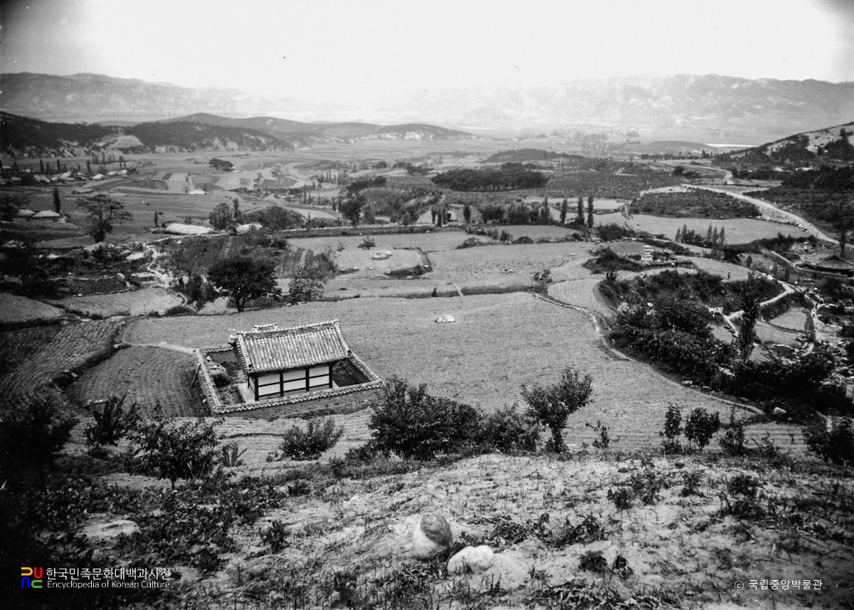 포항 법광사지 전경