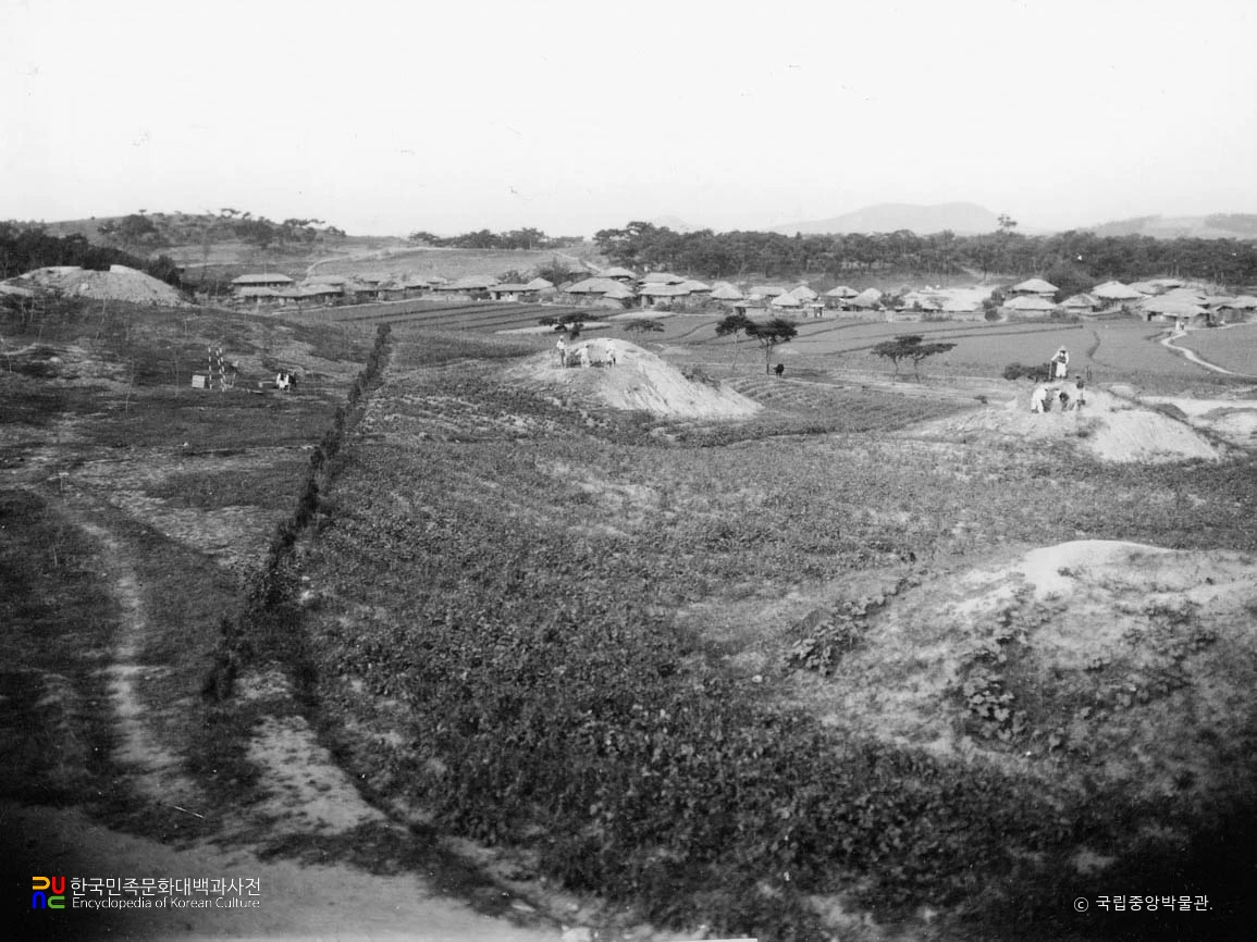 대구 대명동 유적