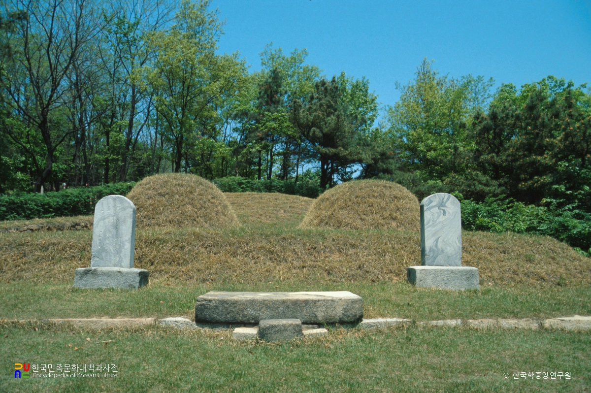 풍산심씨 문정공파 묘역