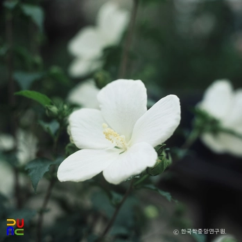 슬롯 머신 룰 / 배달