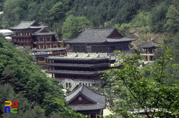 구인사